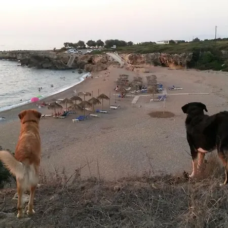 Naiada Stomio-a 度假居 菲利亚特拉